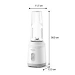 Frische Smoothies jederzeit und überall