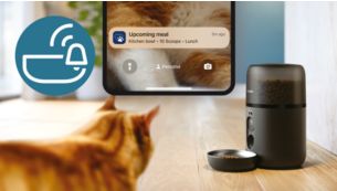 Notifications à l'heure des repas