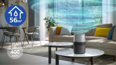 400 ml/val. srauto pakanka iki 56 m² ploto kambariams