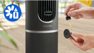 Soothing aromatherapy