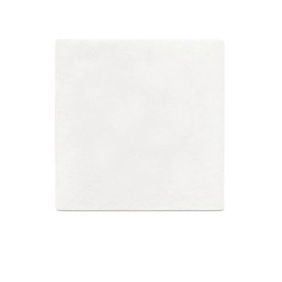 Motora ieplūdes filtrs (putu)