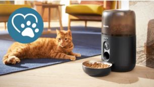 Votre chat va l'adorer