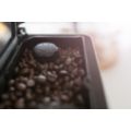 6 spécialités de café à partir de grains de café frais