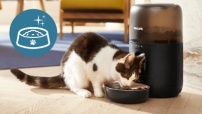 Šviežumas kiekviename kąsnyje