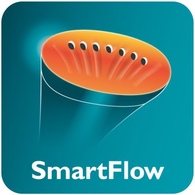 효율적인 다림질을 위한 SmartFlow 열판