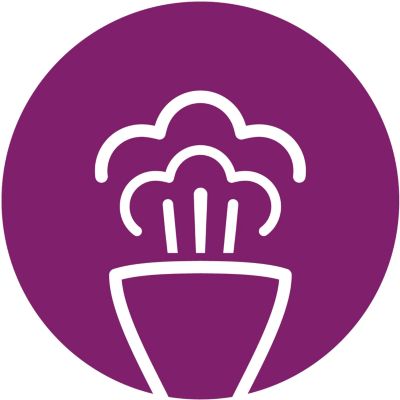 Automātiska nepārtraukta tvaika padeve vienkāršai kroku likvidēšanai