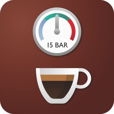 15 bar 泵